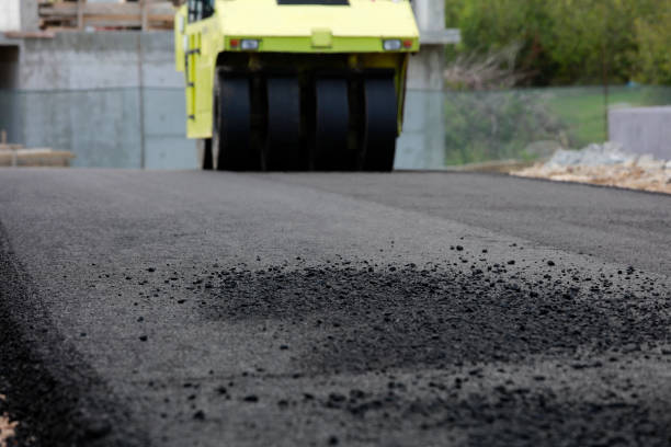 Best Driveway Pavers Near Me  in Rineyville, KY