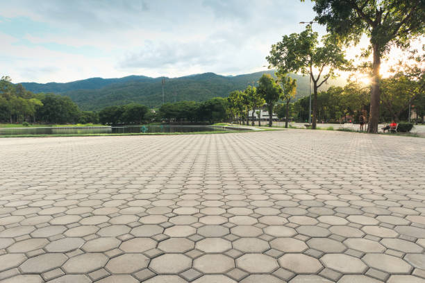Best Local Driveway Pavers  in Rineyville, KY