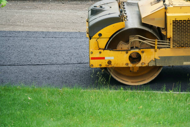 Best Driveway Pavers Near Me  in Rineyville, KY